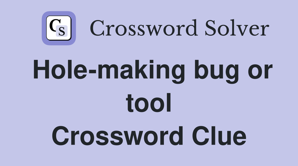 Hole-making bug or tool Crossword Clue
