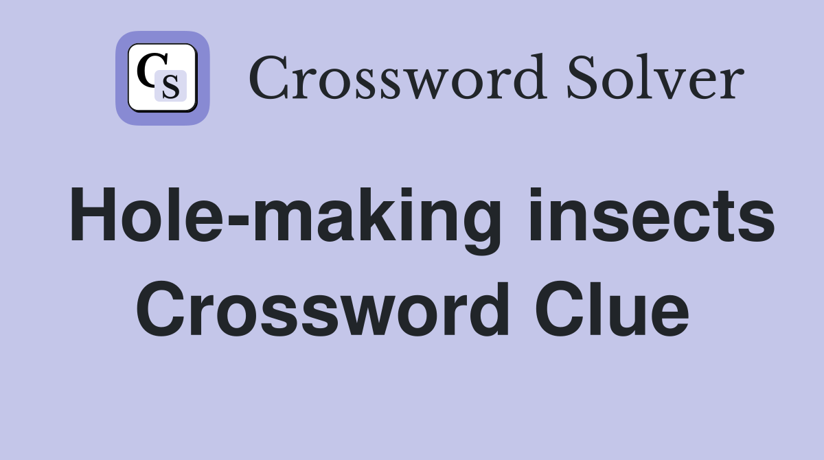 Hole-making insects Crossword Clue