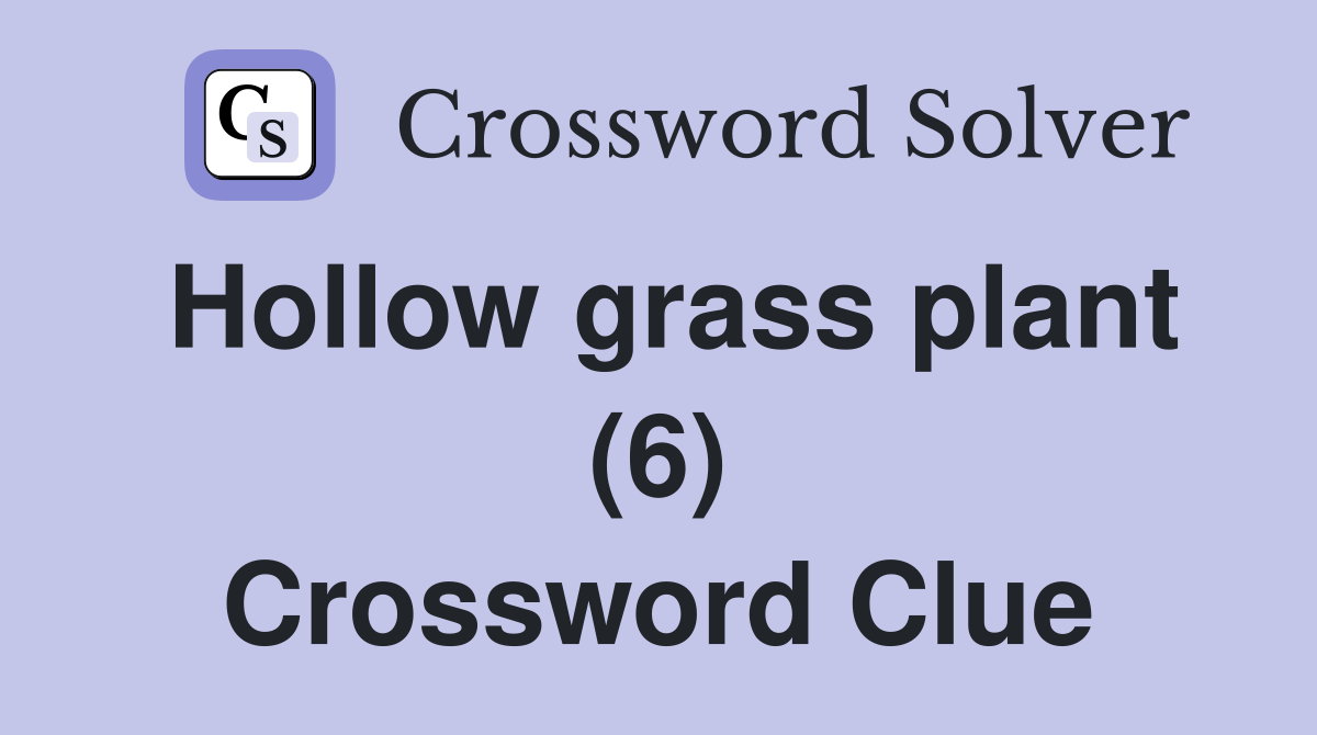 Hollow grass plant (6) Crossword Clue