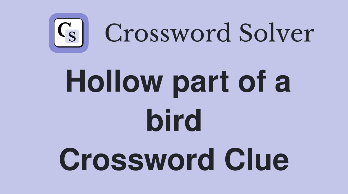 Hollow part of a bird Crossword Clue