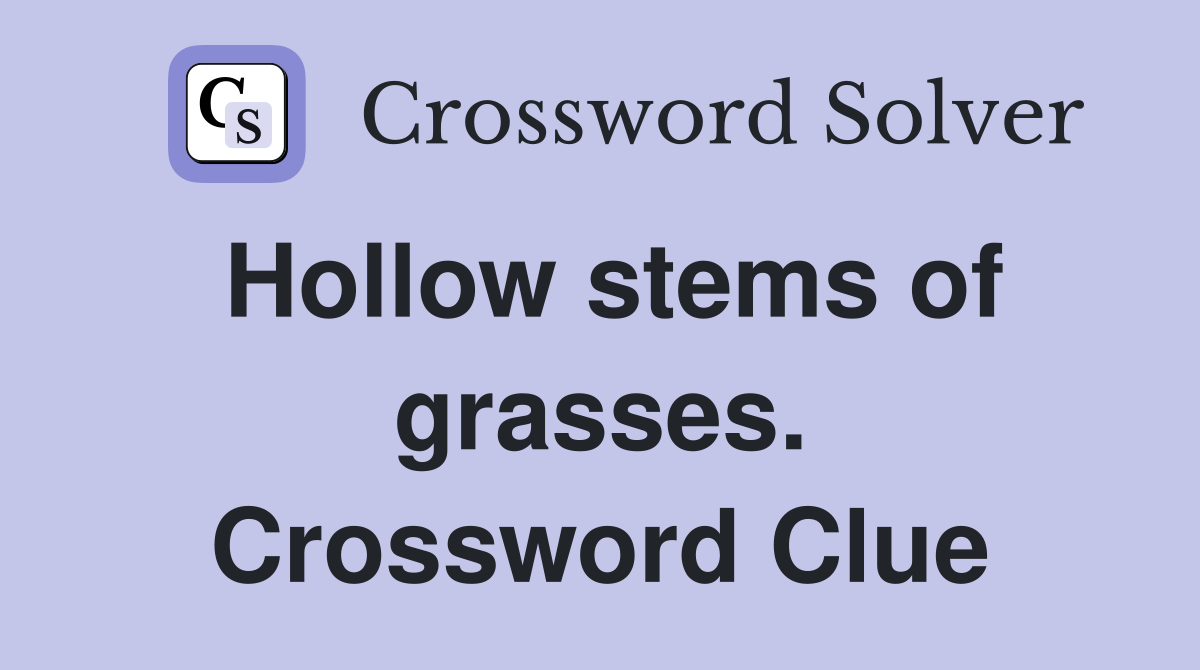 Hollow stems of grasses. Crossword Clue