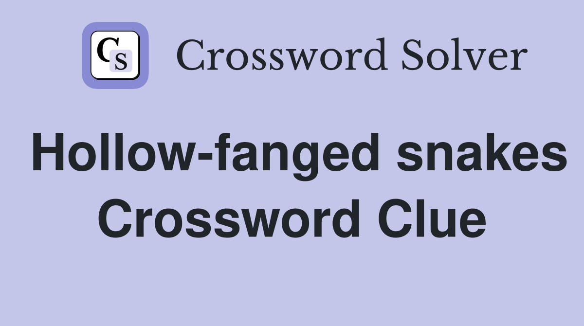 Hollow-fanged snakes Crossword Clue