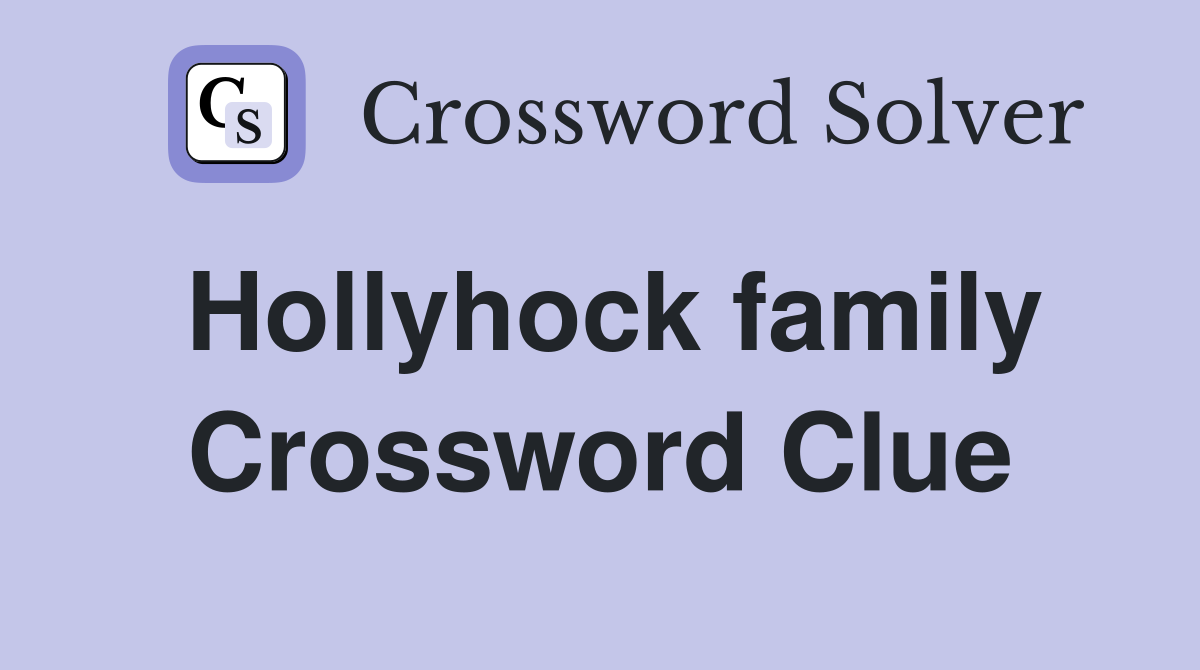 Hollyhock family Crossword Clue
