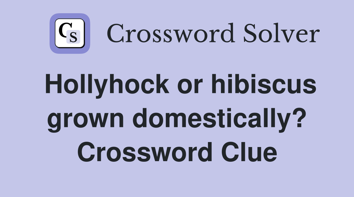 Hollyhock or hibiscus grown domestically? Crossword Clue