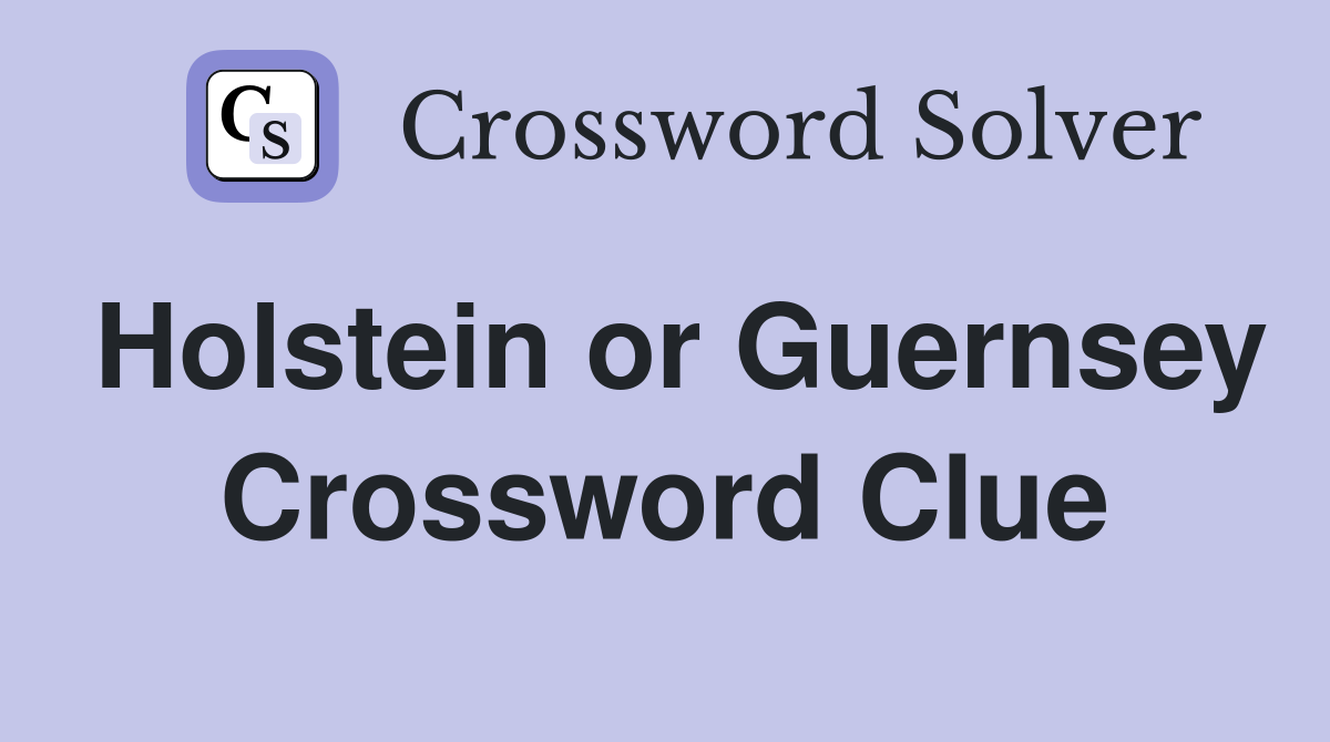 Holstein or Guernsey Crossword Clue