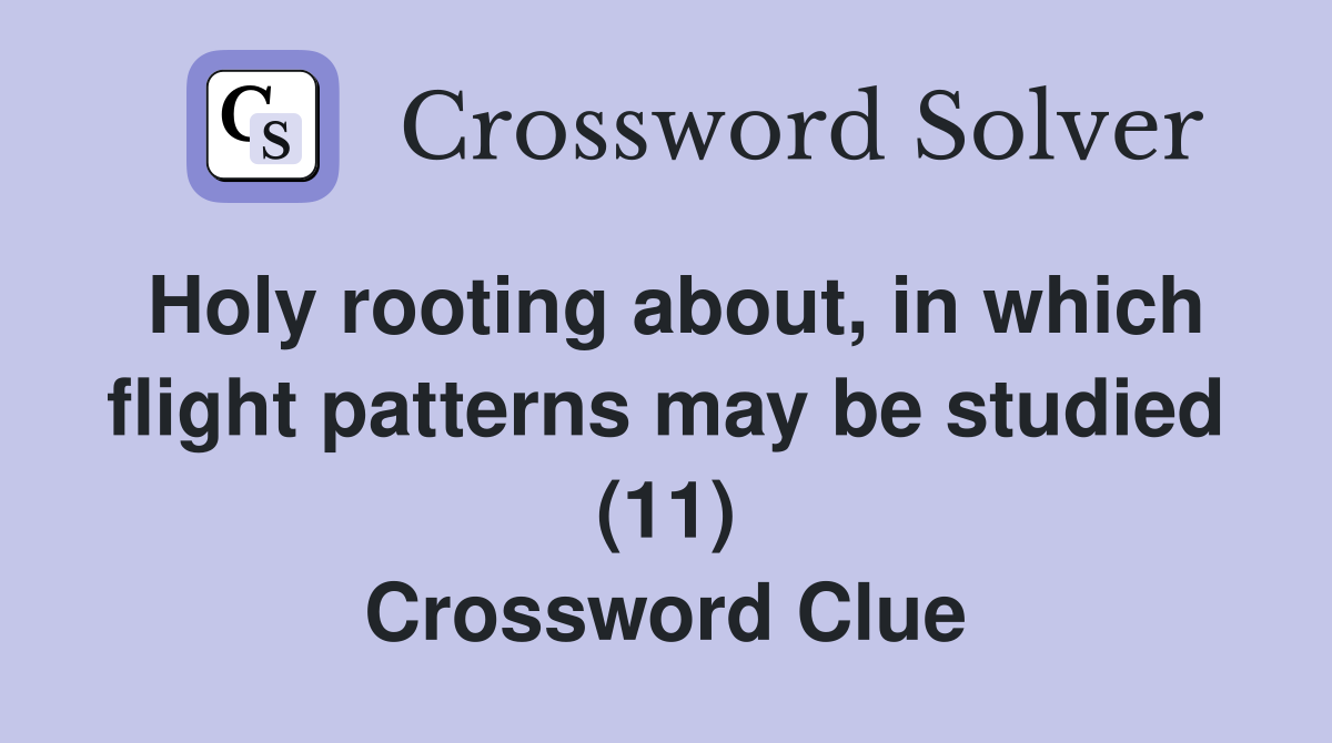 Holy rooting about, in which flight patterns may be studied (11) Crossword Clue