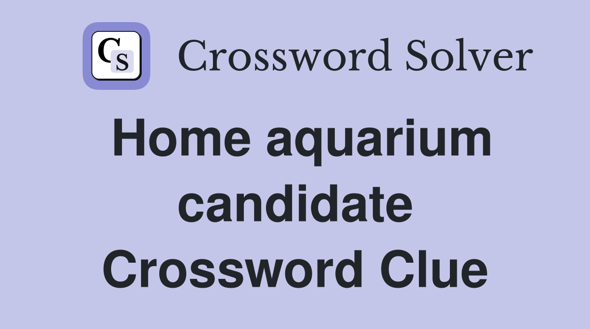 Home aquarium candidate Crossword Clue