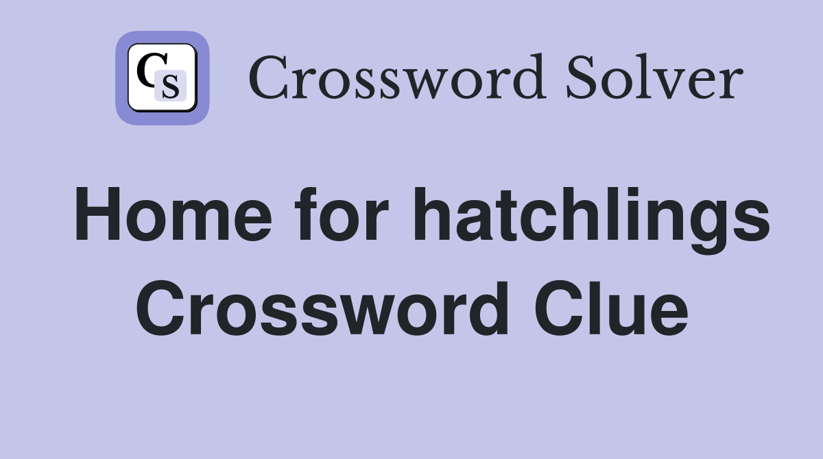 Home for hatchlings Crossword Clue