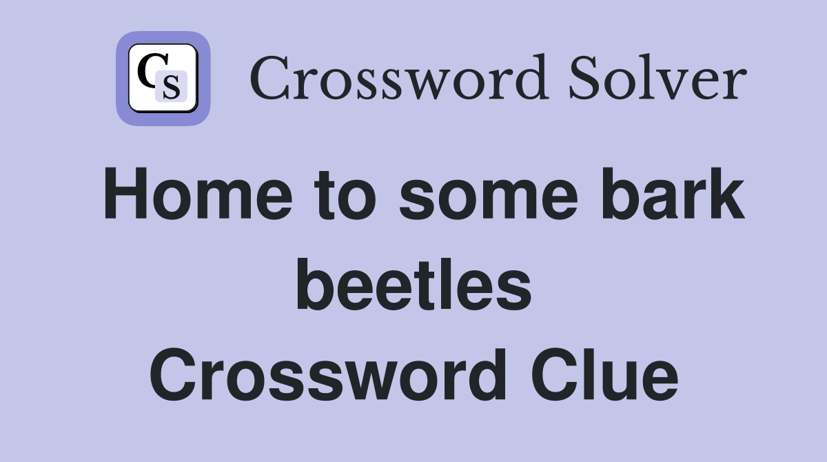 Home to some bark beetles Crossword Clue