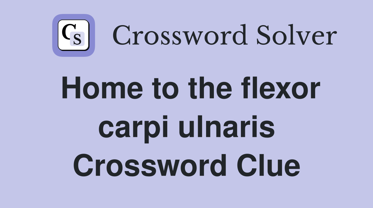 Home to the flexor carpi ulnaris Crossword Clue
