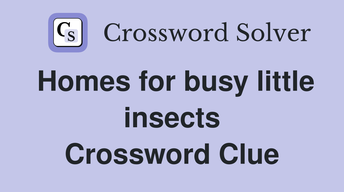 Homes for busy little insects Crossword Clue