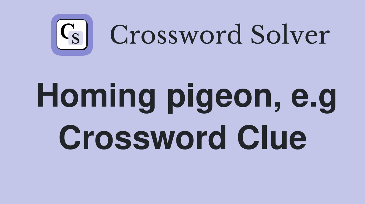 Homing pigeon, e.g Crossword Clue