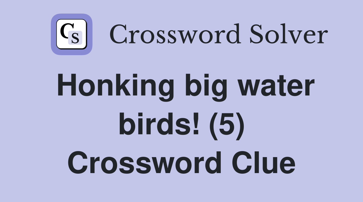 Honking big water birds! (5) Crossword Clue