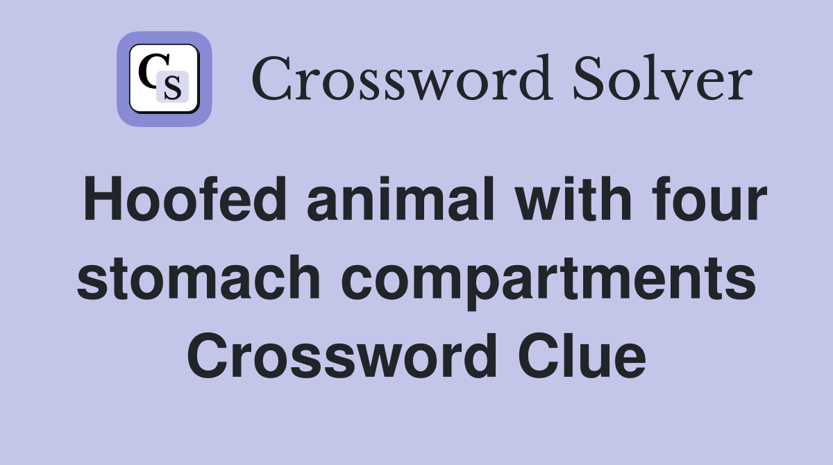 Hoofed animal with four stomach compartments Crossword Clue