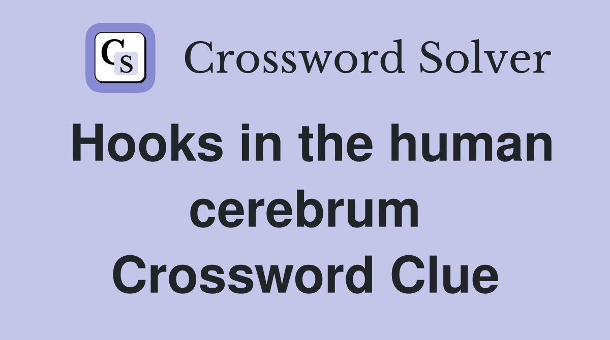 Hooks in the human cerebrum Crossword Clue