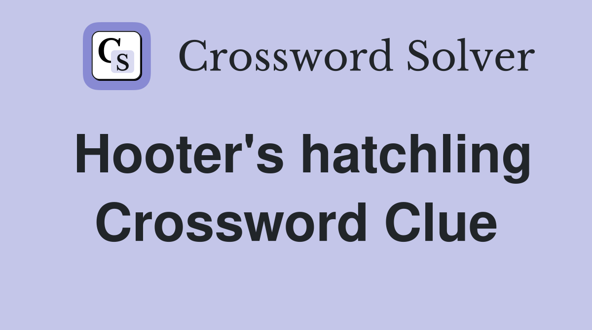 Hooter's hatchling Crossword Clue