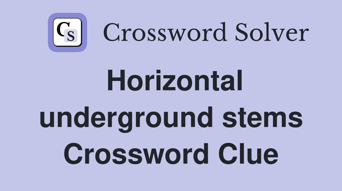 Horizontal underground stems Crossword Clue