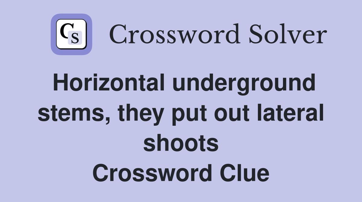 Horizontal underground stems, they put out lateral shoots Crossword Clue