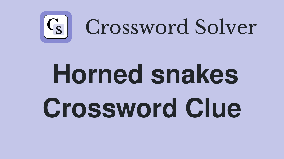 Horned snakes Crossword Clue