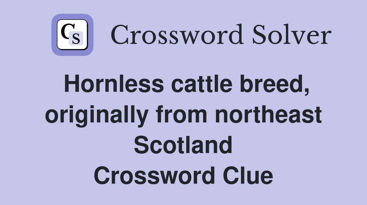 Hornless cattle breed, originally from northeast Scotland Crossword Clue