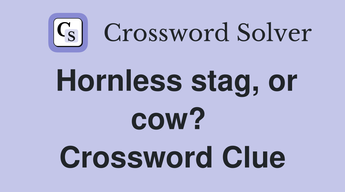 Hornless stag, or cow?  Crossword Clue