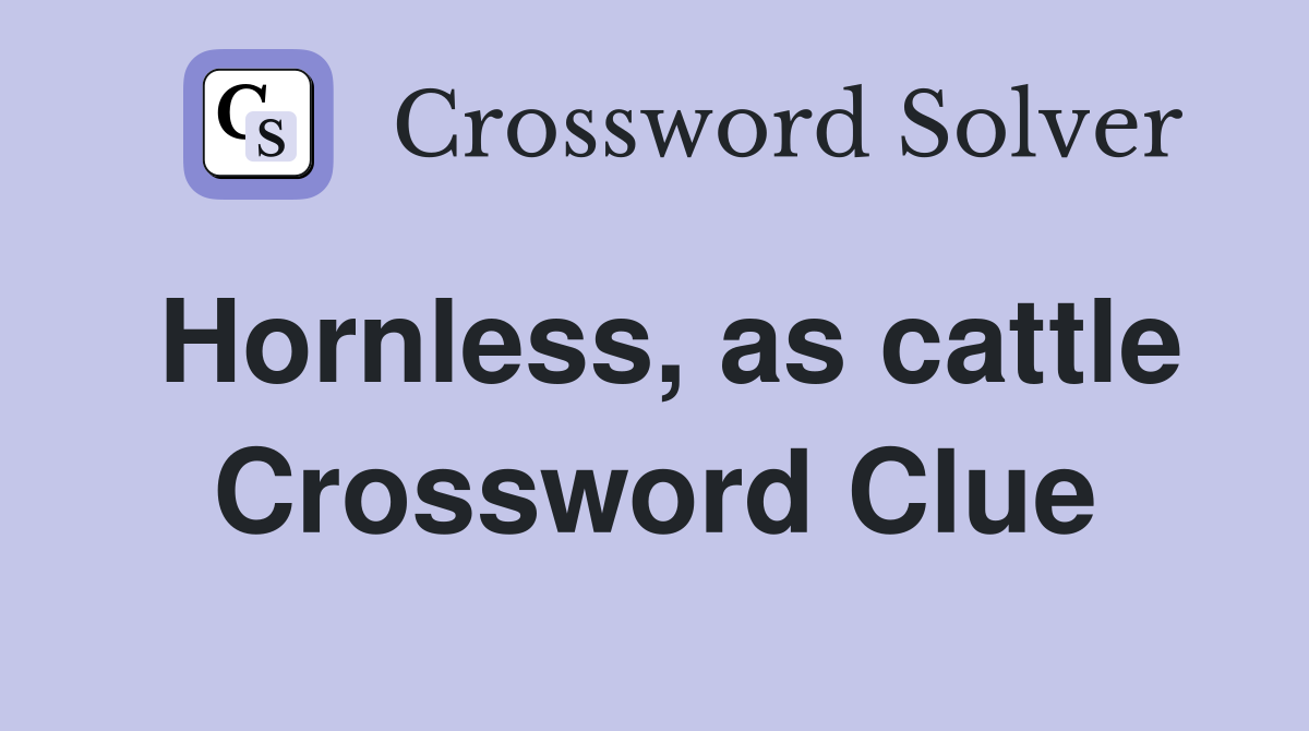 Hornless, as cattle Crossword Clue