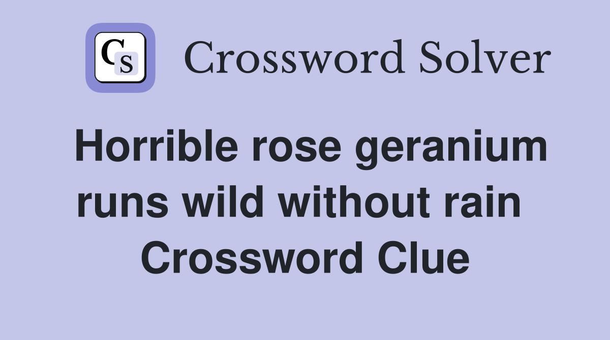 Horrible rose geranium runs wild without rain  Crossword Clue