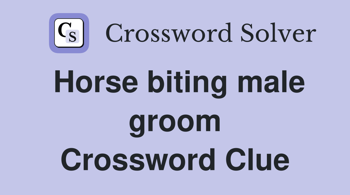Horse biting male groom Crossword Clue