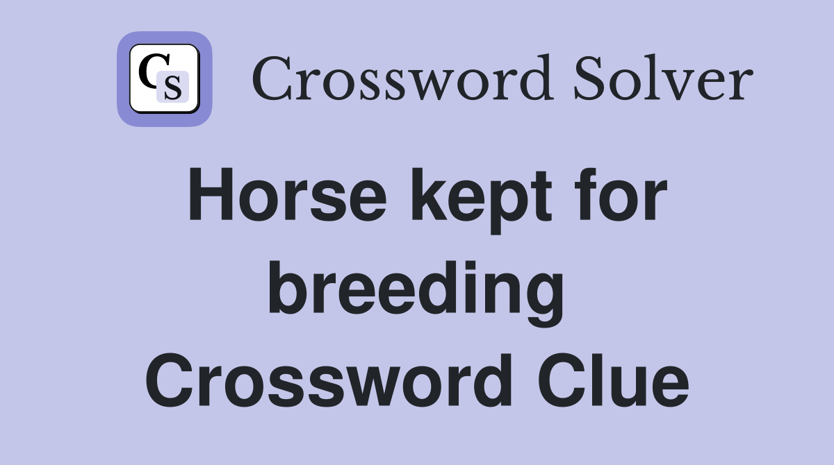 Horse kept for breeding Crossword Clue