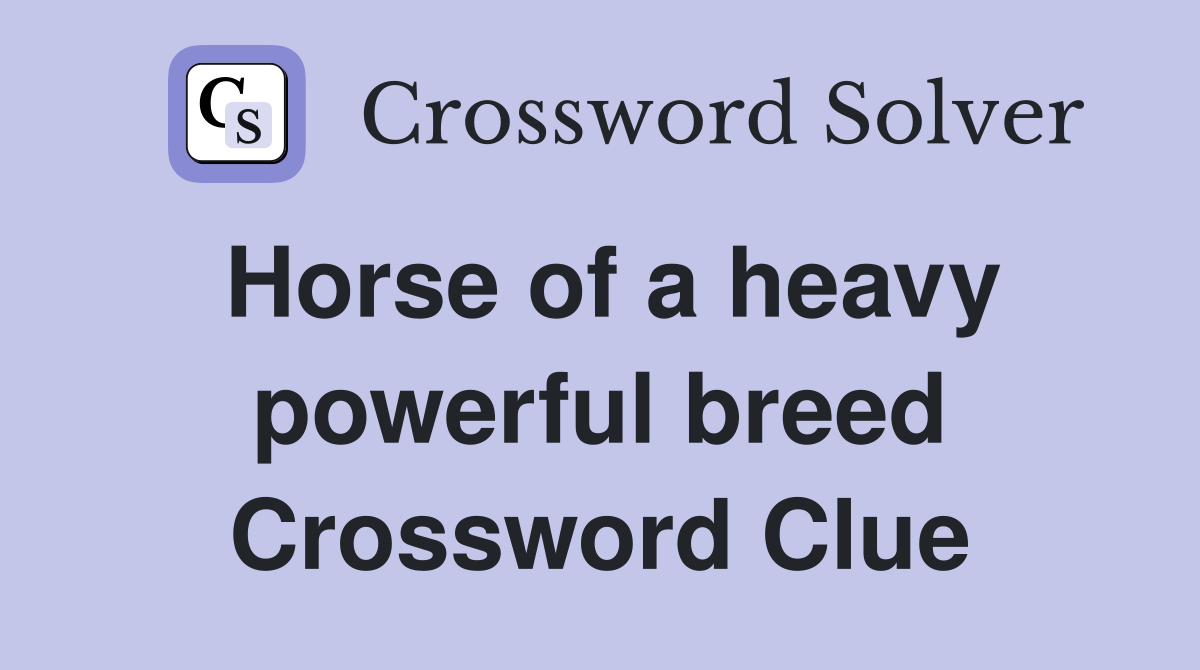 Horse of a heavy powerful breed Crossword Clue
