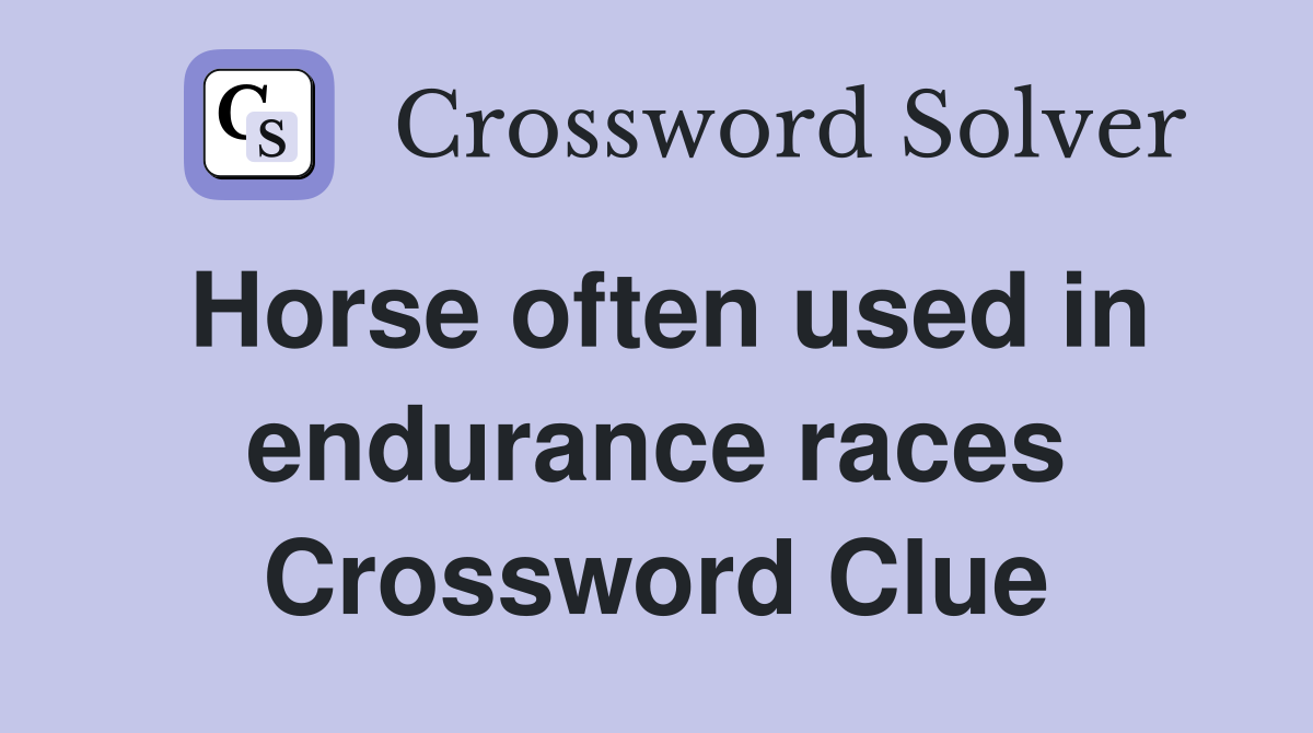 Horse often used in endurance races Crossword Clue