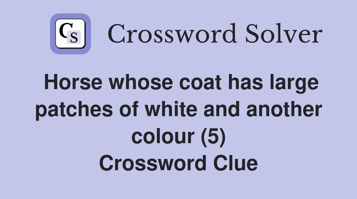 Horse whose coat has large patches of white and another colour (5) Crossword Clue