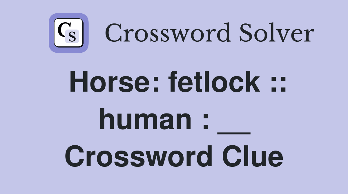 Horse: fetlock :: human : __ Crossword Clue