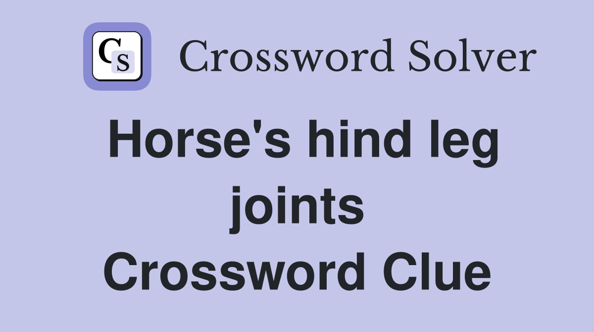 Horse's hind leg joints Crossword Clue