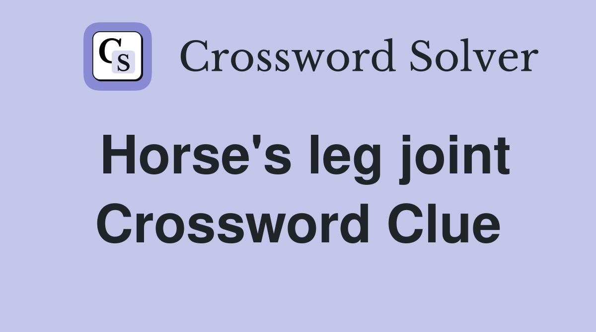 Horse's leg joint Crossword Clue