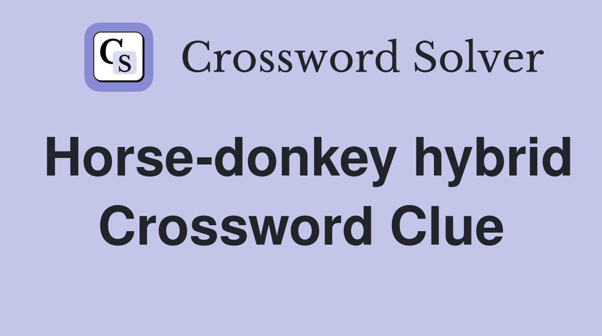 Horse-donkey hybrid Crossword Clue