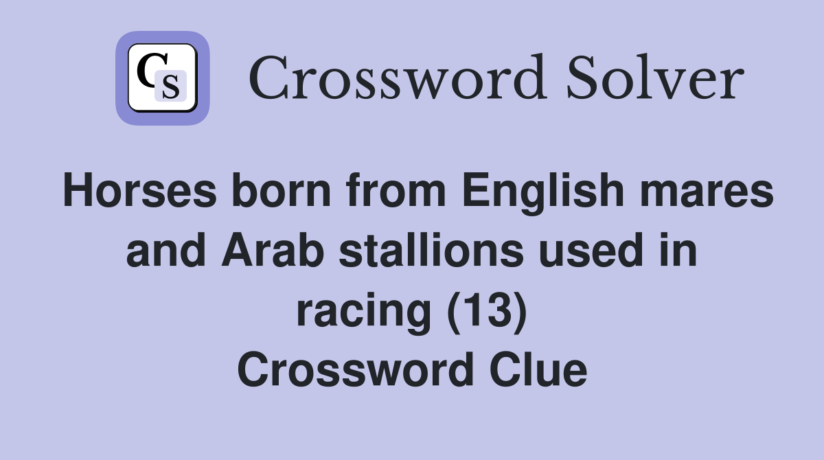 Horses born from English mares and Arab stallions used in racing (13) Crossword Clue