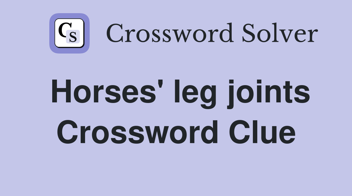 Horses' leg joints Crossword Clue