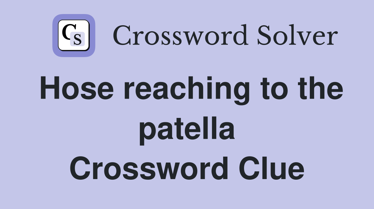 Hose reaching to the patella Crossword Clue