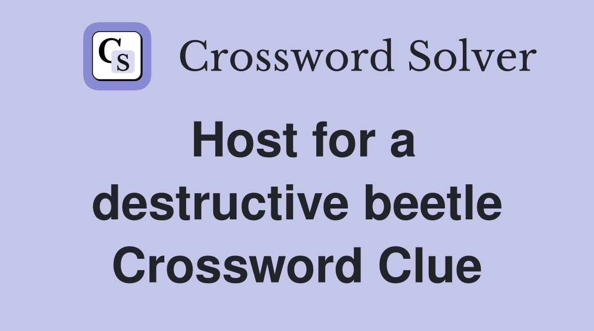 Host for a destructive beetle Crossword Clue