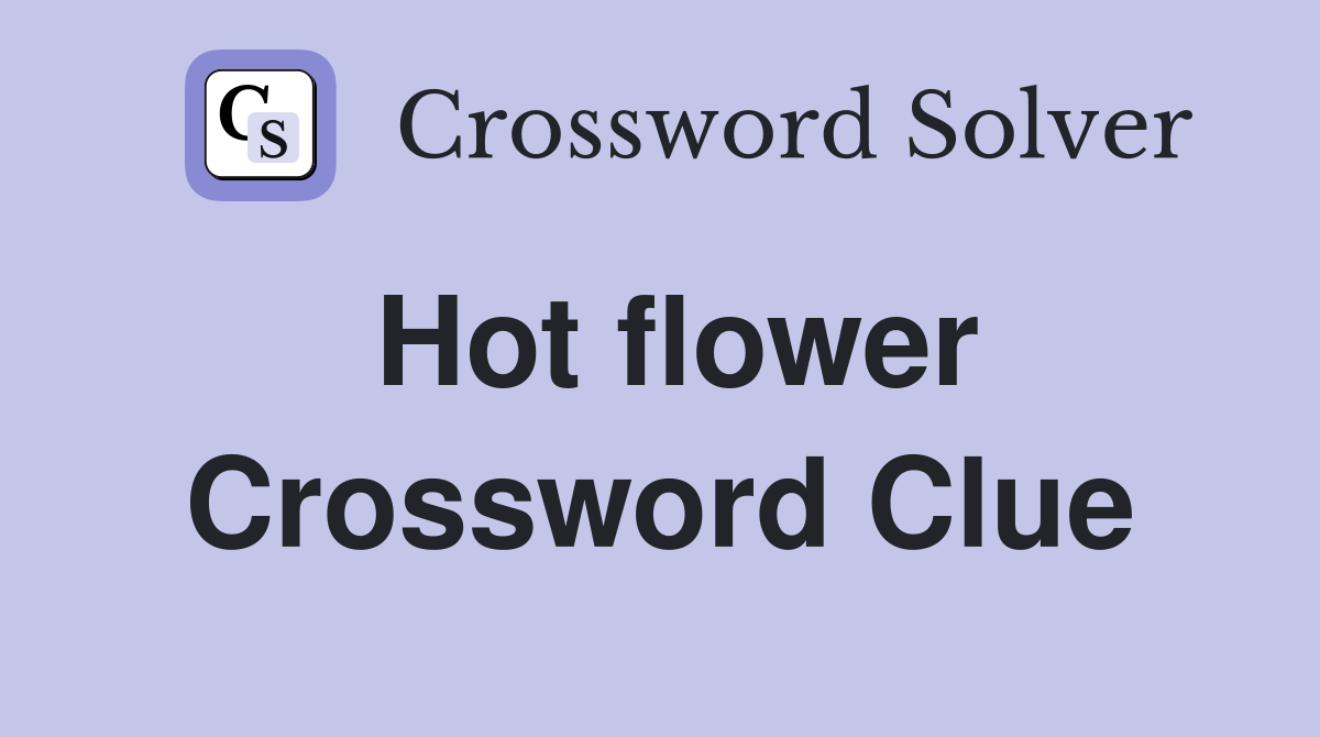 Hot flower Crossword Clue
