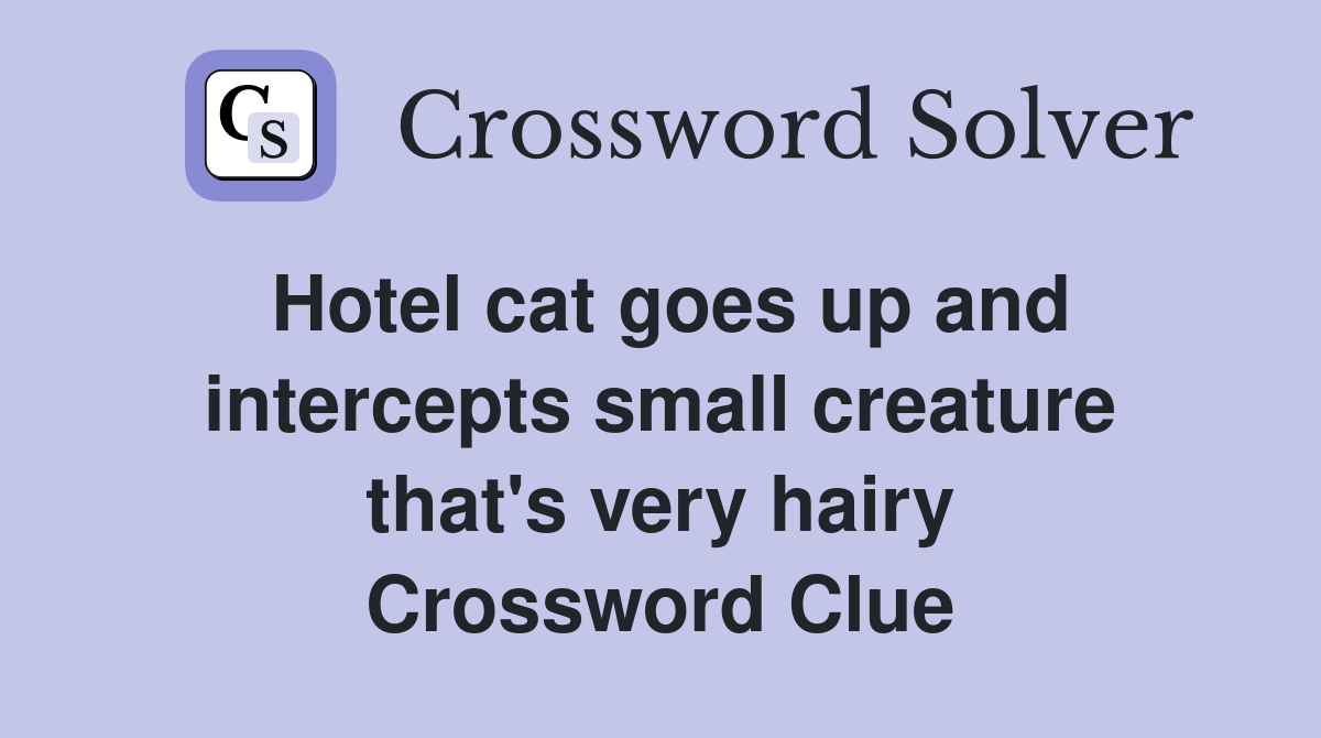 Hotel cat goes up and intercepts small creature that's very hairy Crossword Clue