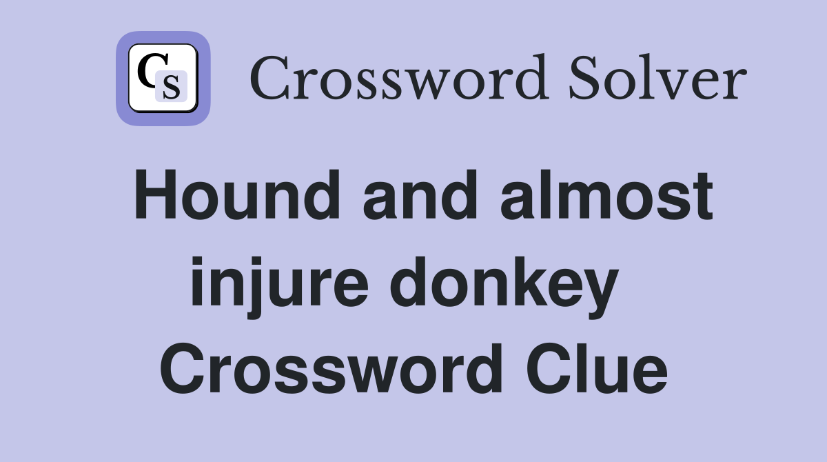 Hound and almost injure donkey  Crossword Clue