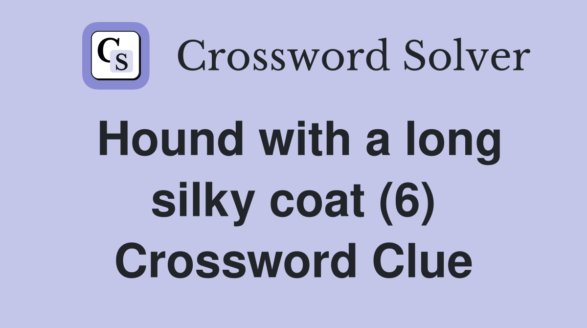 Hound with a long silky coat (6) Crossword Clue