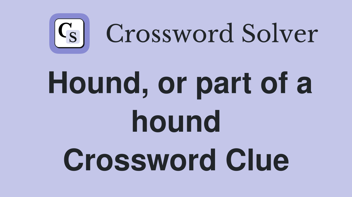 Hound, or part of a hound Crossword Clue