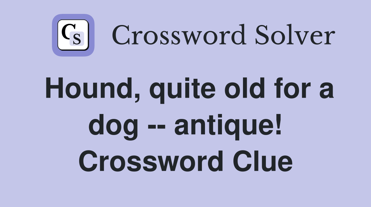 Hound, quite old for a dog -- antique! Crossword Clue