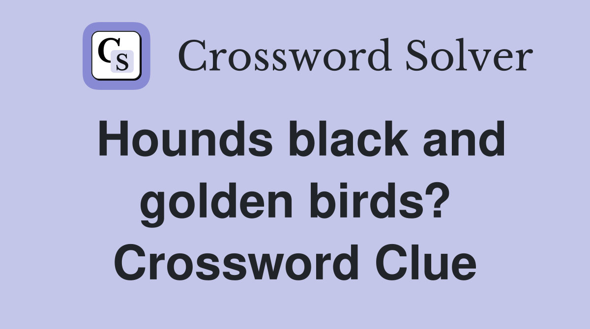Hounds black and golden birds? Crossword Clue