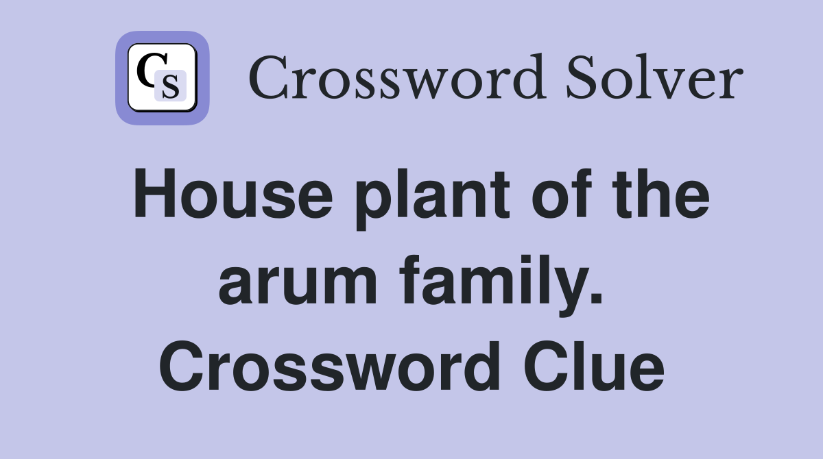 House plant of the arum family. Crossword Clue