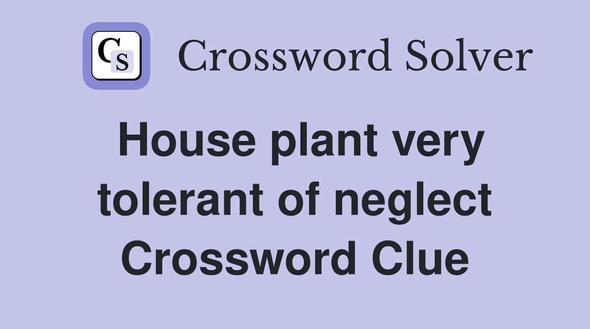 House plant very tolerant of neglect Crossword Clue