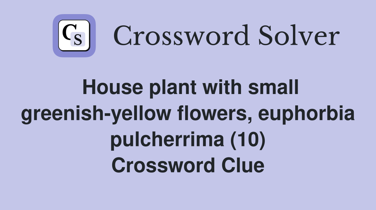 House plant with small greenish-yellow flowers, euphorbia pulcherrima (10) Crossword Clue